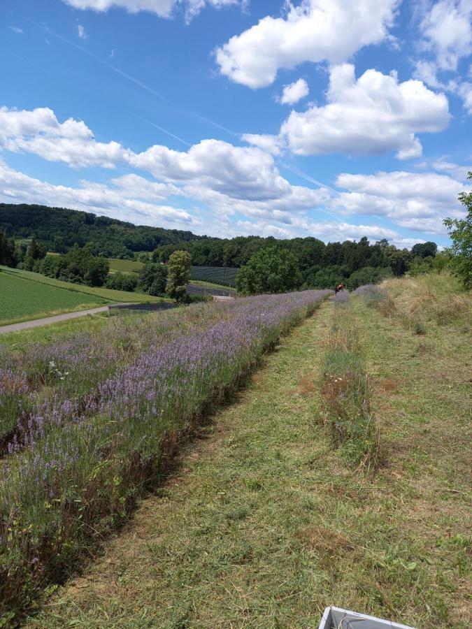 Herzhof Lampert Lägenhet Riegersburg Exteriör bild